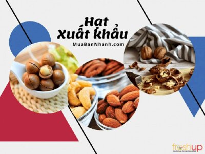 Các loại hạt dinh dưỡng xuất khẩu chủ lực của Việt Nam